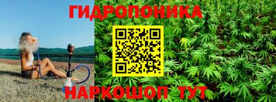a pvp Можга