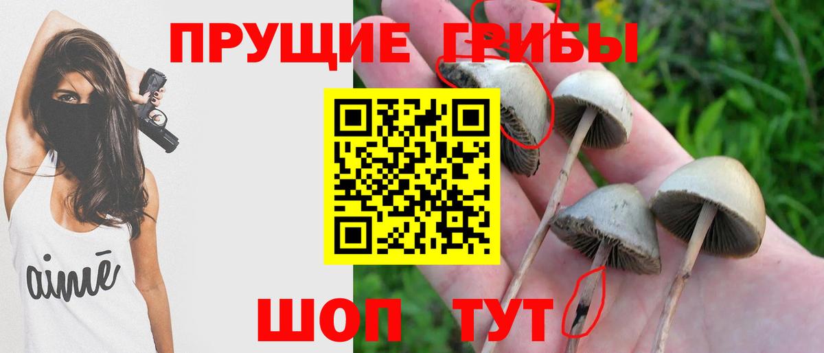 Галлюциногенные грибы Psilocybe  Галлюциногенные грибы ЛСД  Вход с VPN  Воронеж 